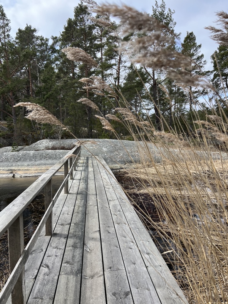 Wooden pier leading out over calm water in Finnhamn, part of the Stockholm Archipelago Trail.