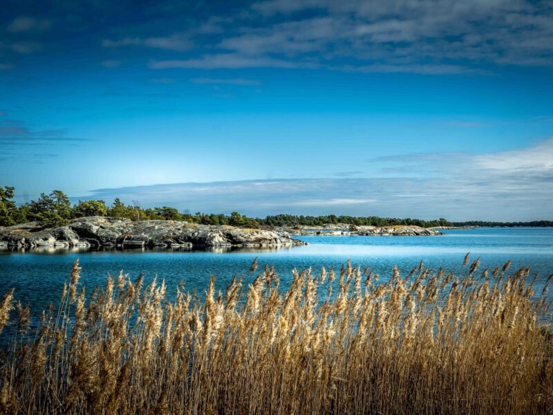 Water, sky and reeds on SAT Nämdö