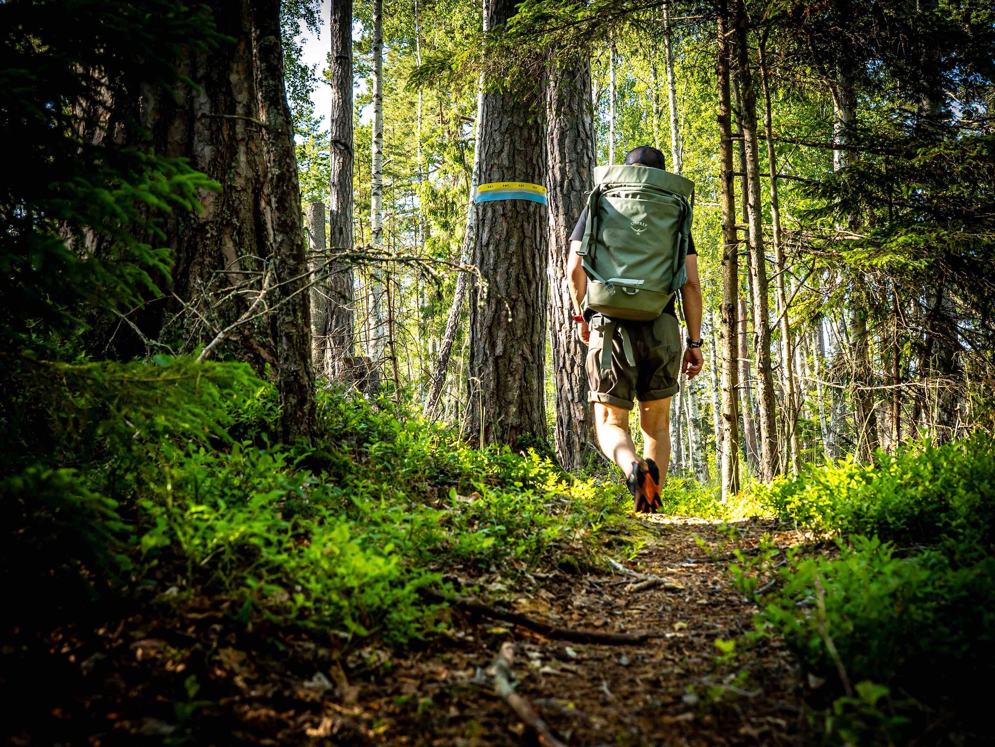 SAT Trail marking on single track in the forest